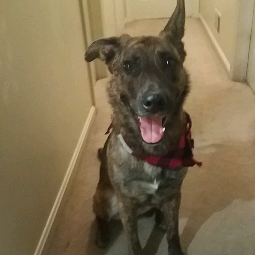 Meet your Posher, Kate